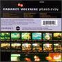 Plasticity (1993)