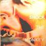 Shock The Monkey