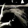 A Tribute To Sting