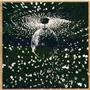 Mirror Ball (With Pearl Jam) (1995)